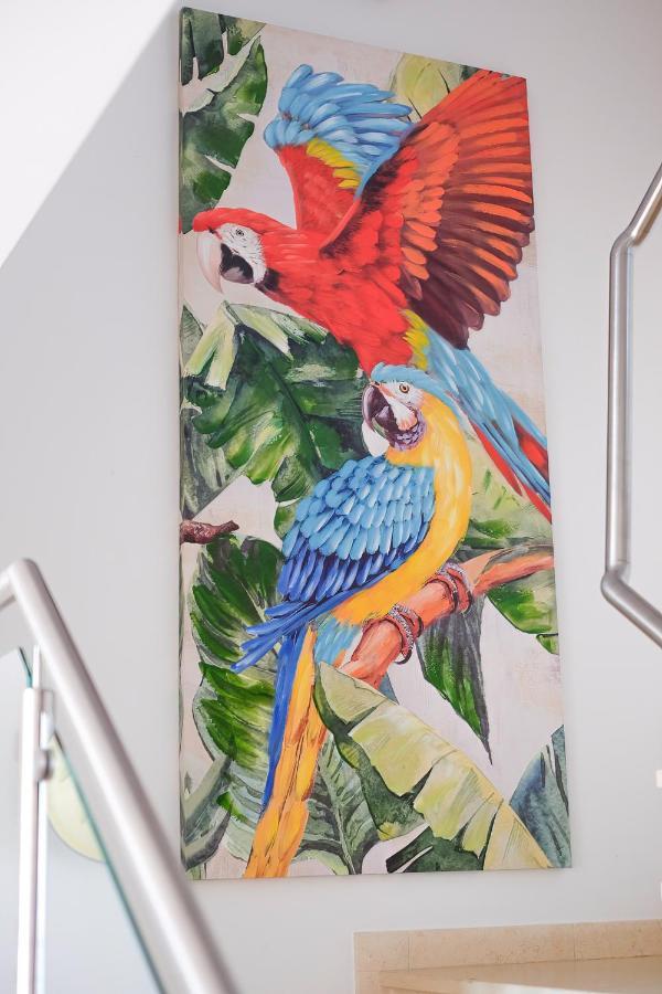 Amazing Views Casa Hummingbird Apartment Lagos Ngoại thất bức ảnh